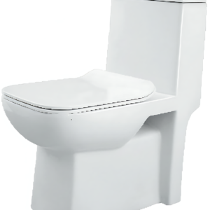 dazzle-one-piece-toilet