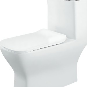 magnum-one-piece-toilet